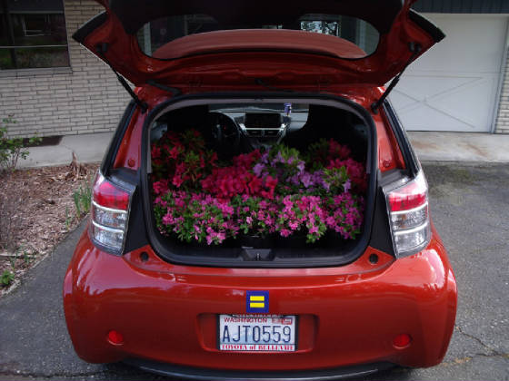 BONUS/CAR6.jpg