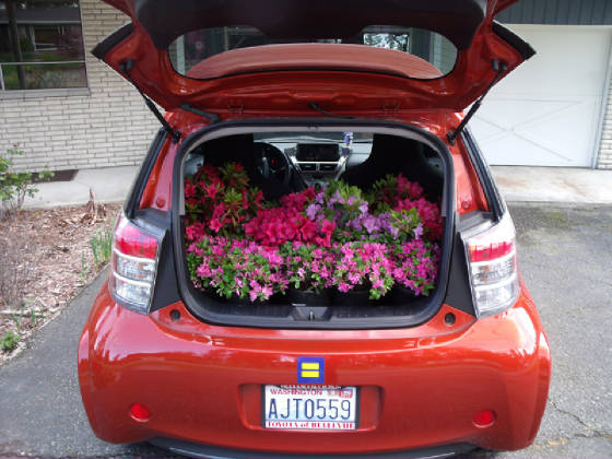 BONUS/CAR6.jpg