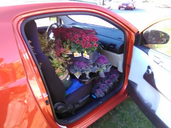 BONUS/CAR6.jpg