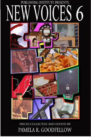 BOOKCOVERS/retirement.jpg