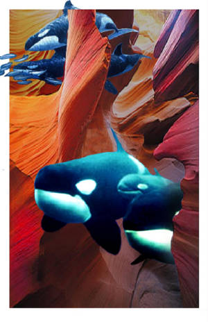 PHOTOSHOP/newgrandoracs.jpg