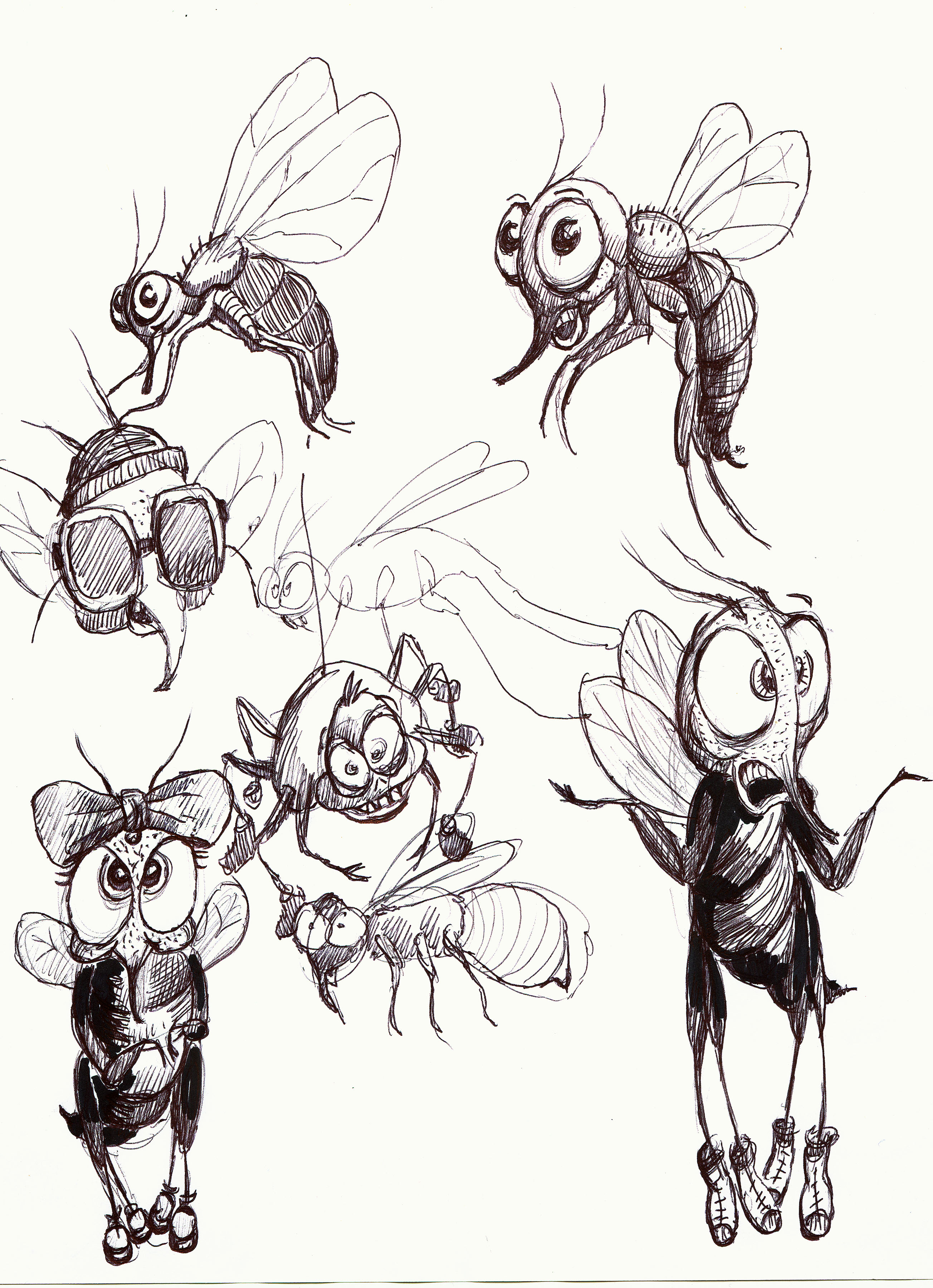 children/GNAT2.jpg